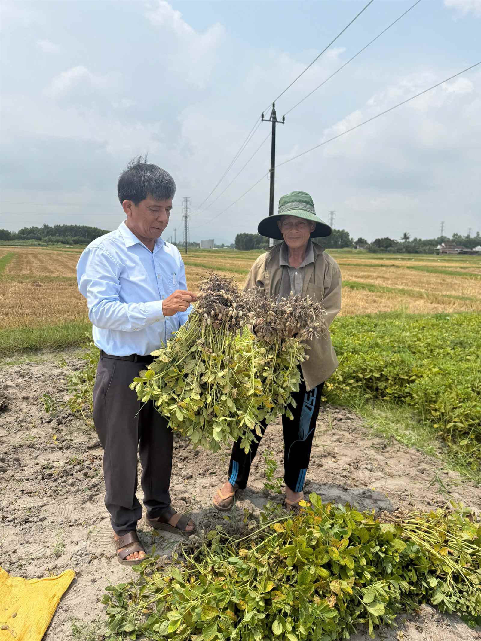 Chăm sóc & Thu hoạch