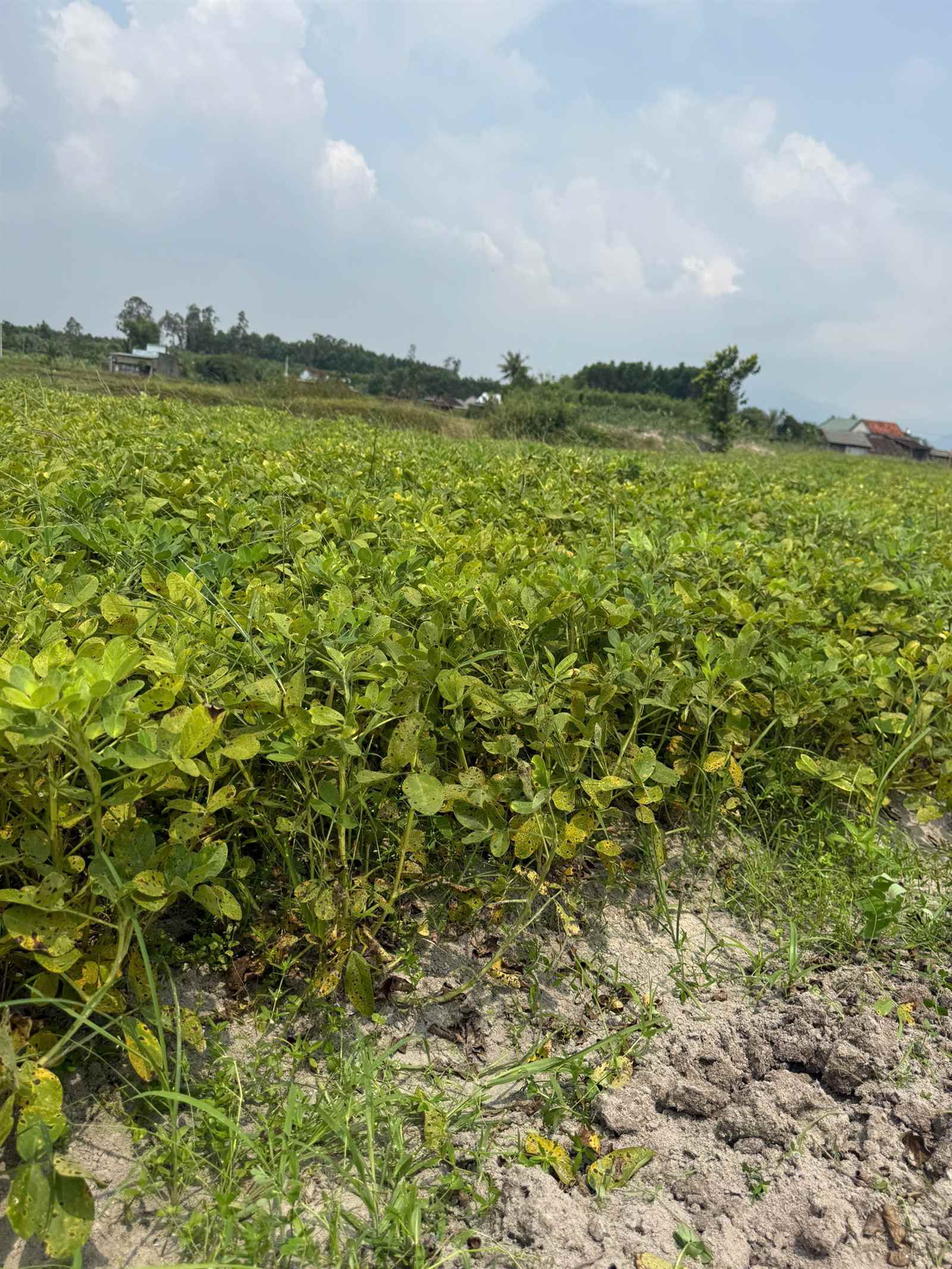 Chứng nhận