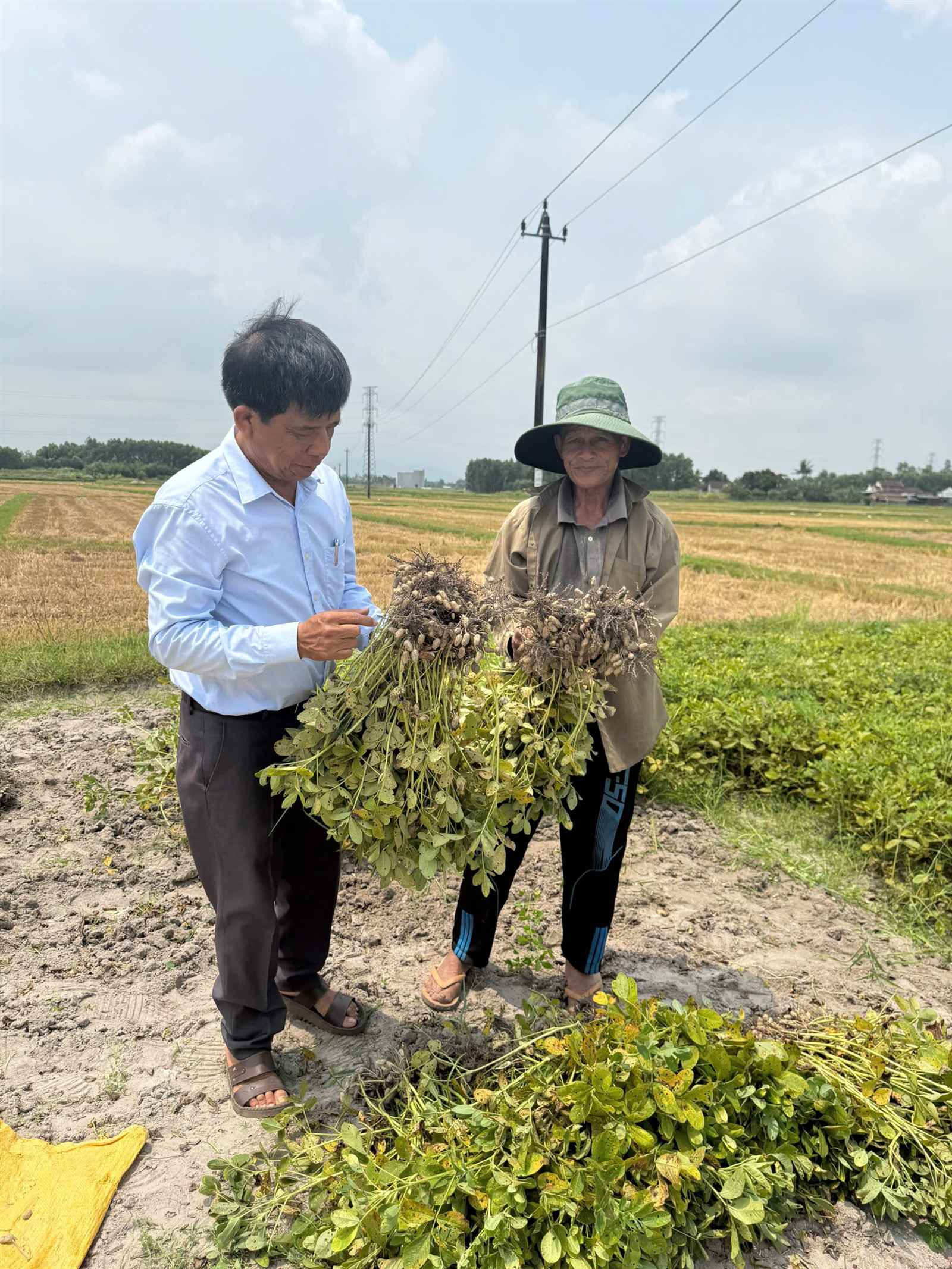 Dầu lạc