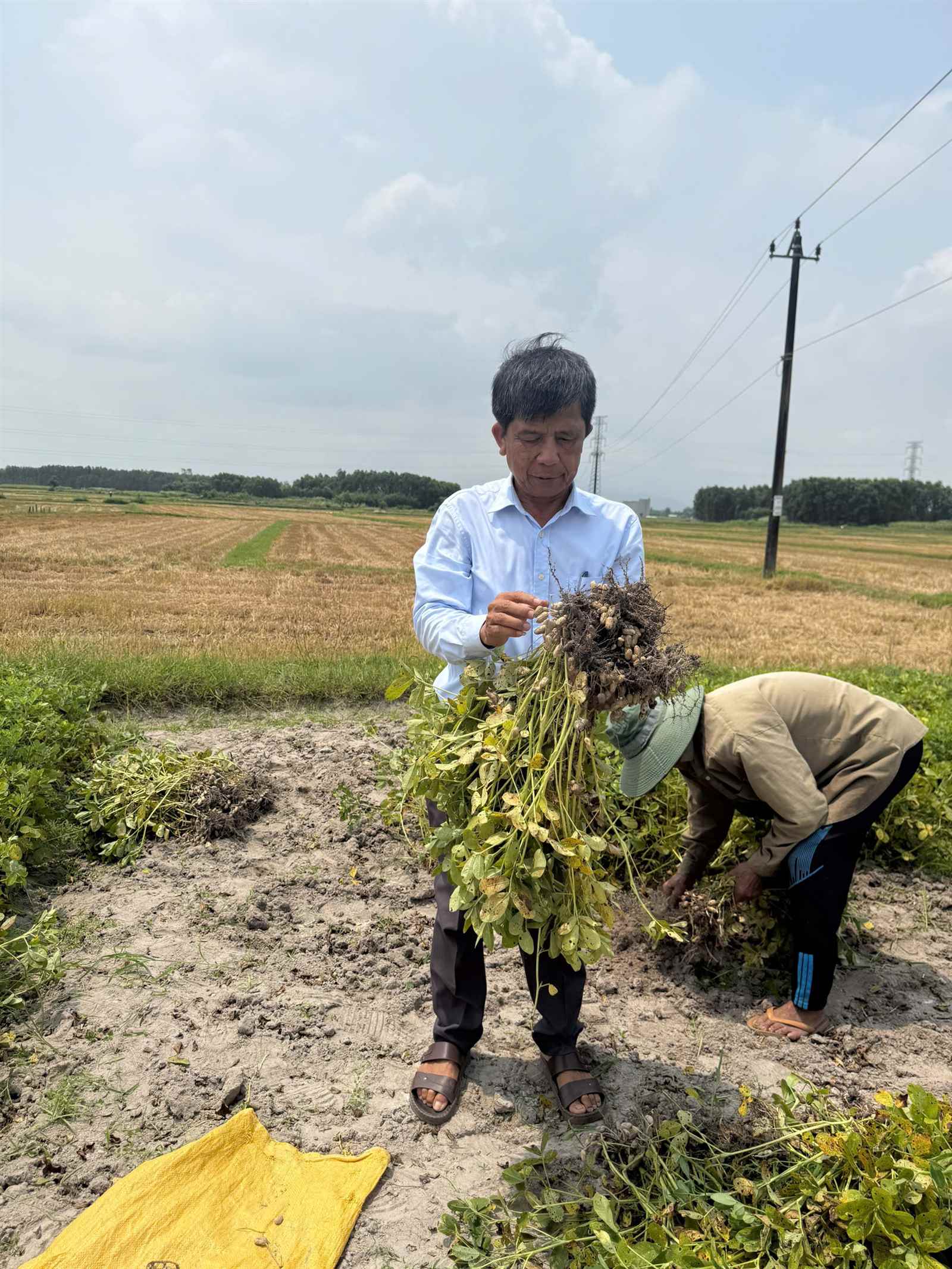 Bảo quản